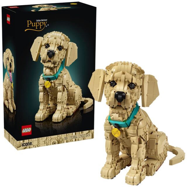 LEGO Icons 11384 Golden Retriever Puppy
