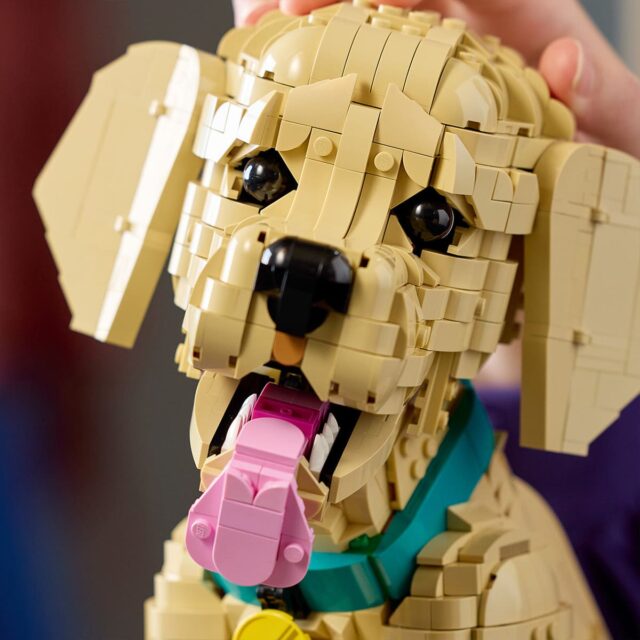 LEGO Icons 11384 Golden Retriever Puppy