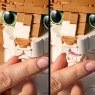 LEGO Ideas 21376 Orange Cat