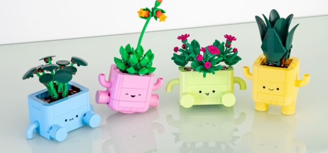 Review LEGO Botanicals 11506 Rocking Plants