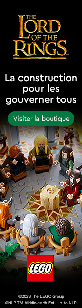 REVIEW du cadre à minifigs LEGO 5005359 Minifigure Collector Frame -  HelloBricks