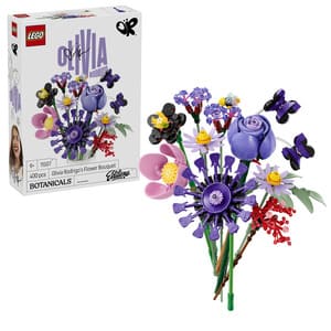 LEGO 11507