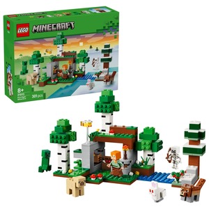 LEGO 21593