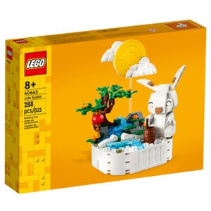 LEGO 40643