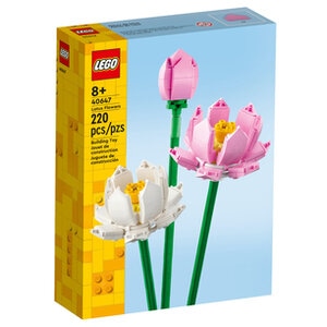 LEGO 40647