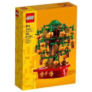 LEGO 40648