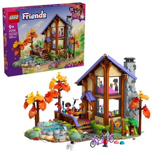LEGO 42705