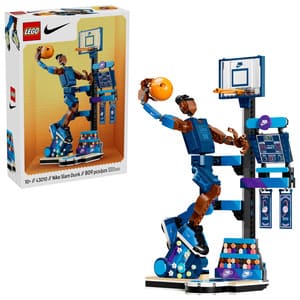 LEGO 43010