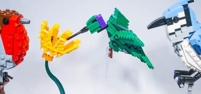 REVIEW LEGO 21301 – Ideas #009 – Birds