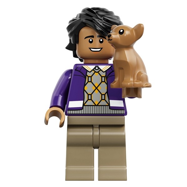 LEGO Ideas The Big Bang Theory (21302) Raj