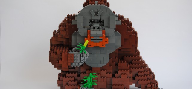 Orang-outan