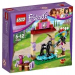 LEGO Friends Foal Washing Station (41123) box