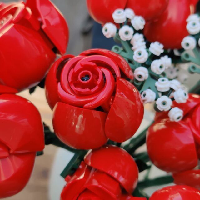 Review LEGO Botanicals 10328 Bouquet of Roses