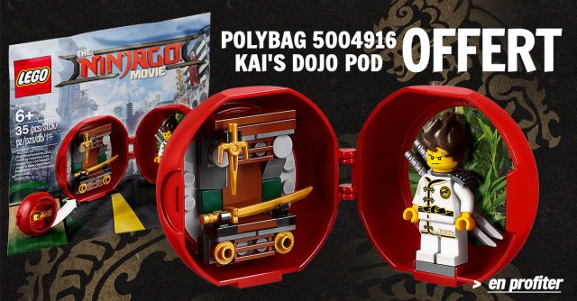 Polybag 5004916 Kai's Dojo Pod offert