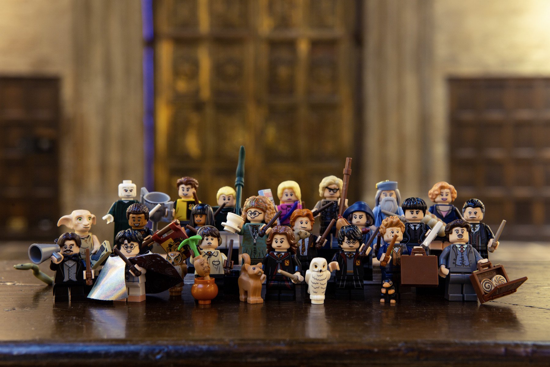 personnage lego harry potter