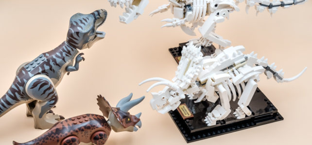 REVIEW LEGO Ideas 21320 Dinosaur Fossils