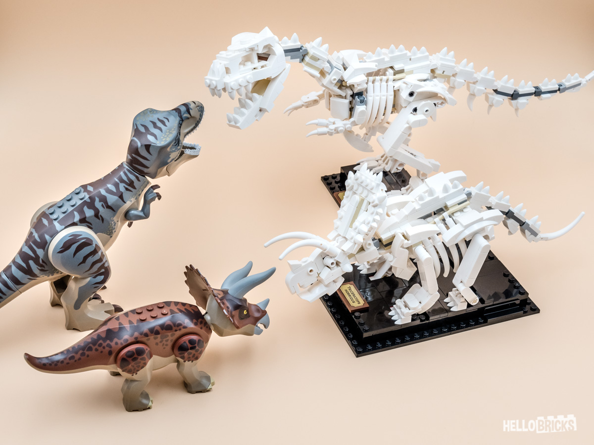 REVIEW LEGO Ideas 21320 Dinosaur Fossils - HelloBricks