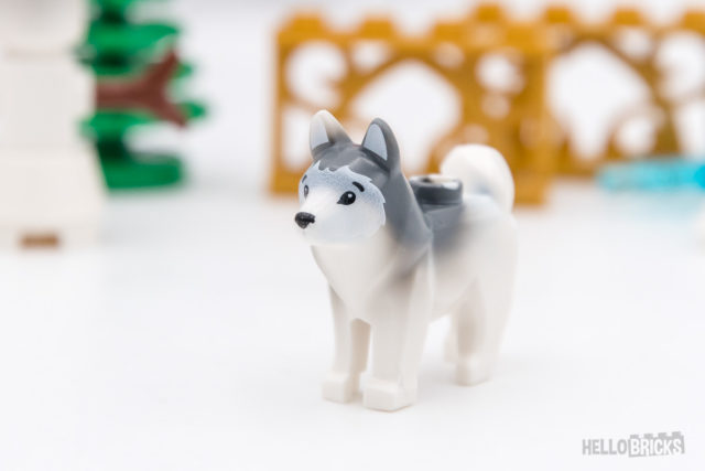 REVIEW LEGO XTRA 40368 Husky