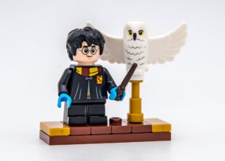 REVIEW LEGO Harry Potter 75979 Hedwig