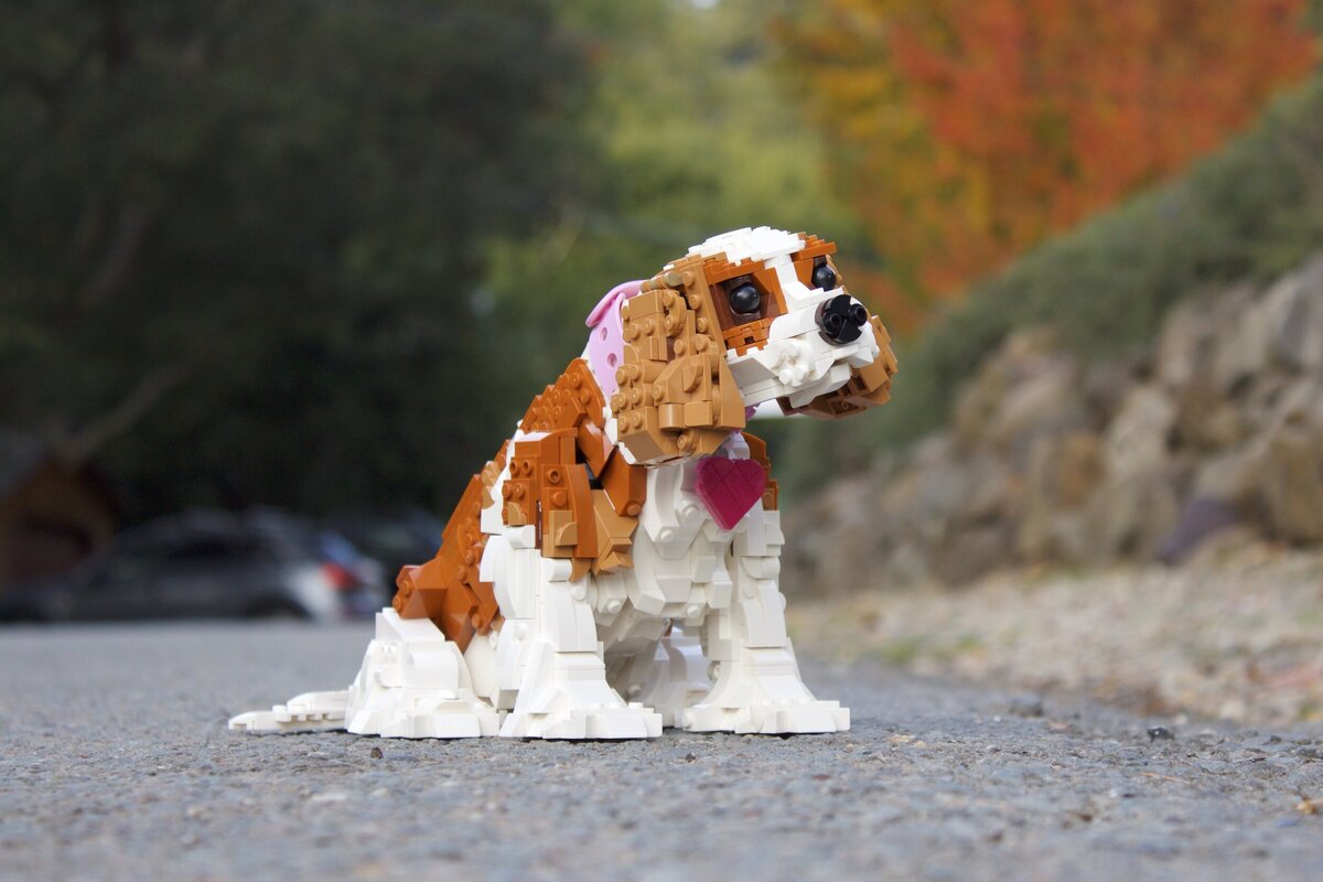 Cavalier King Charles Spaniels - HelloBricks