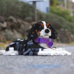 LEGO Cavalier King Charles Spaniel