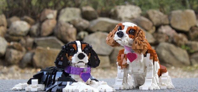 LEGO Cavalier King Charles Spaniels