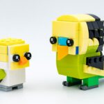 REVIEW LEGO 40443 Budgie