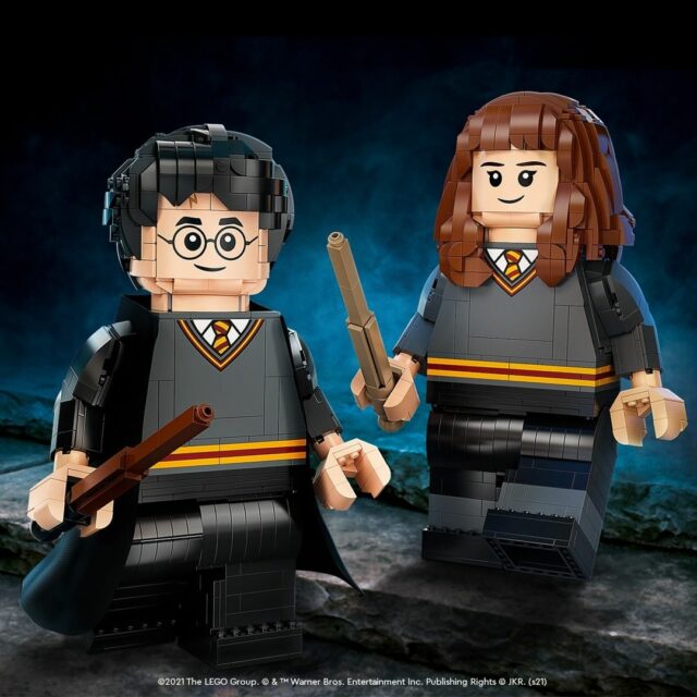 LEGO 76393 Harry Potter & Hermione Granger