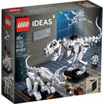 LEGO 21320