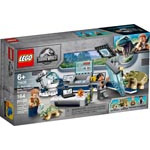 LEGO 75939