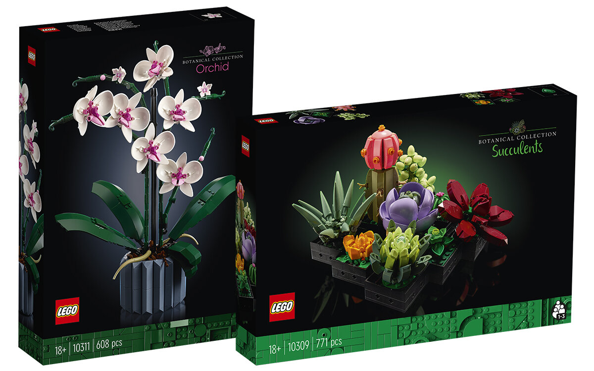 LEGO dévoile une orchidée et une plante succulente à monter soi-même