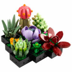 LEGO 10309 Succulentes