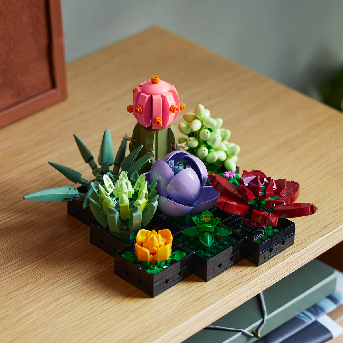 Nouveautés LEGO Botanical Collection 10309 Succulents et 10311 Orchid -  HelloBricks