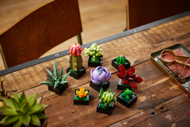 LEGO 10309 Succulents