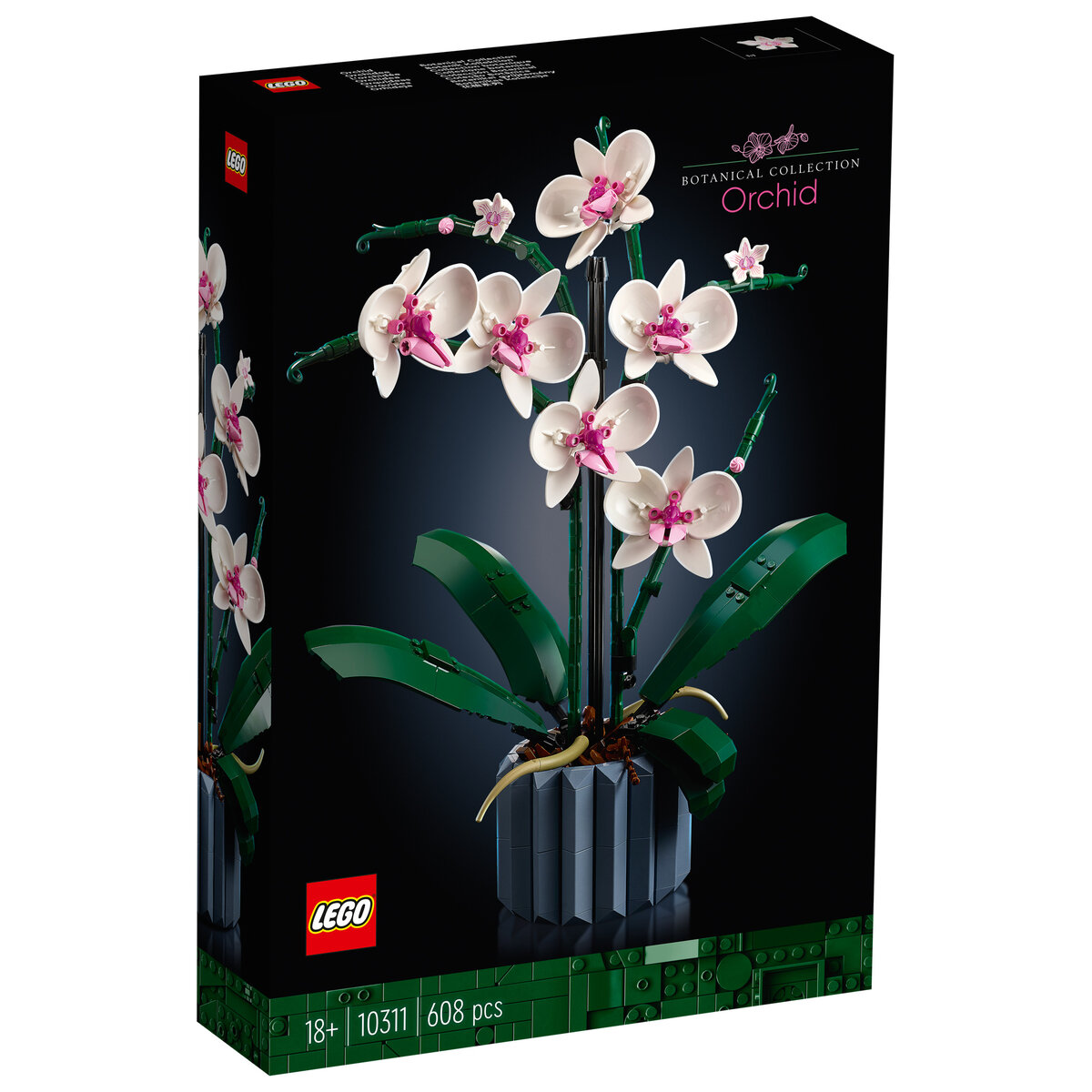 Review LEGO Botanical Collection 10311 Orchid - HelloBricks