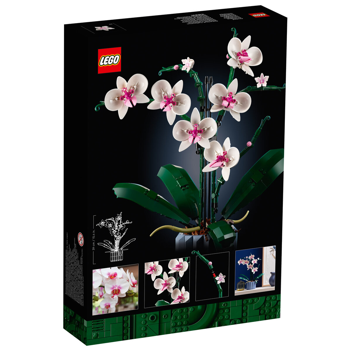 Nouveautés LEGO Botanique l'orchidée et les succulentes - Brickosophy