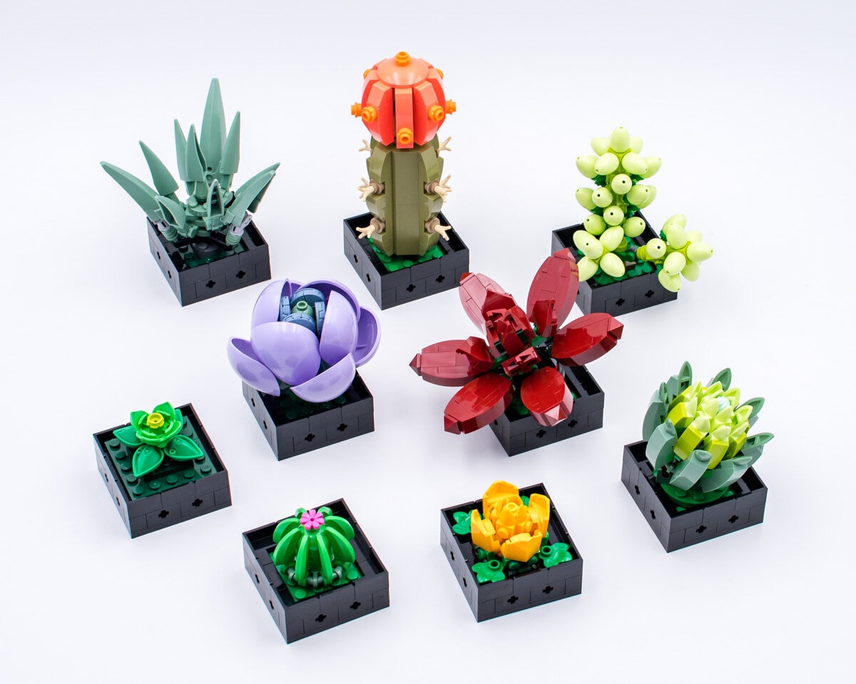 Review LEGO Botanical Collection 10309 Succulents - HelloBricks