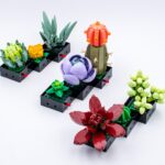 Review LEGO Botanical Collection 10309 Succulents