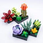 Review LEGO Botanical Collection 10309 Succulents