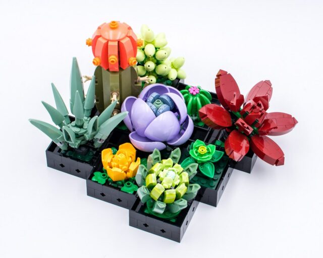 Review LEGO Botanical Collection 10309 Succulents