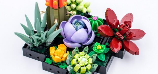 Review LEGO Botanical Collection 10309 Succulents