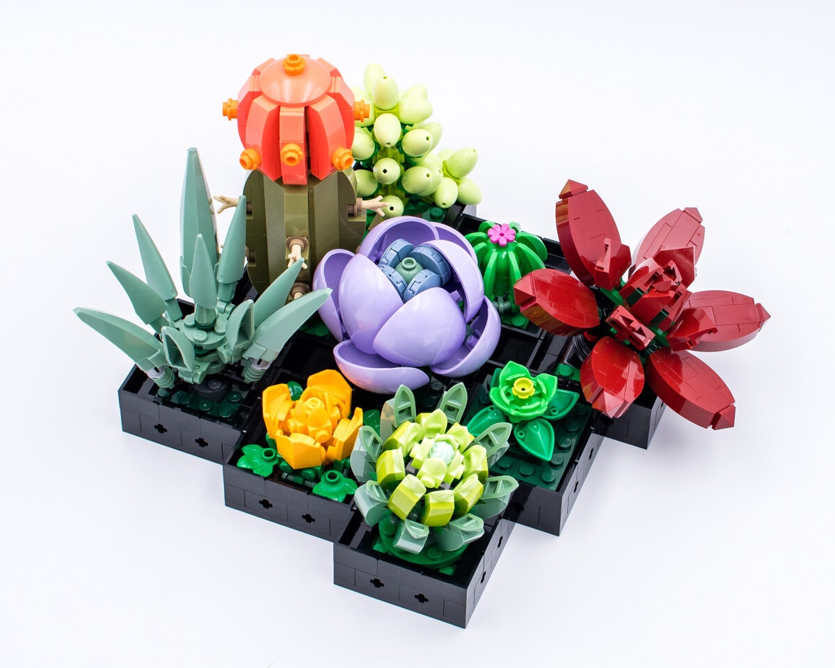 Review LEGO Botanical Collection 10309 Succulents - HelloBricks