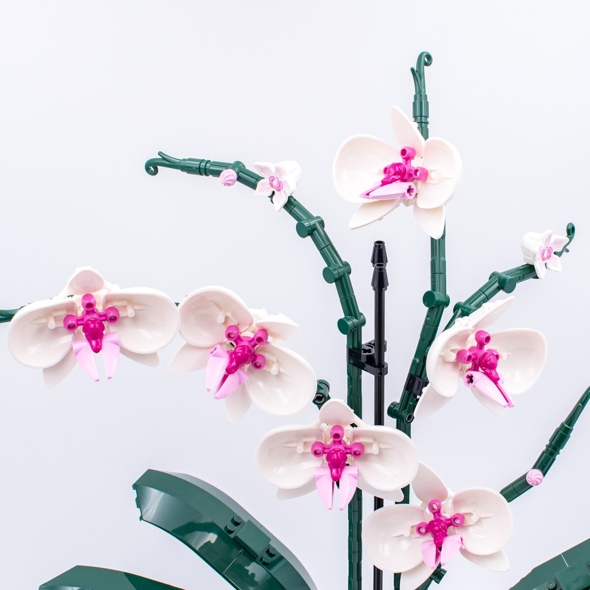 Review LEGO Botanical Collection 10311 Orchid - HelloBricks
