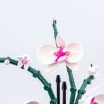 Review LEGO Botanical Collection 10311 Orchid