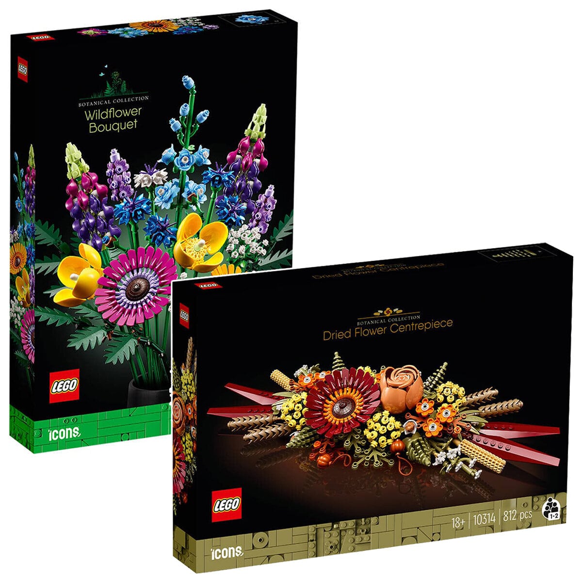 Nouveautés LEGO Icons Botanical Collection 2023 : 10313 Wildflower