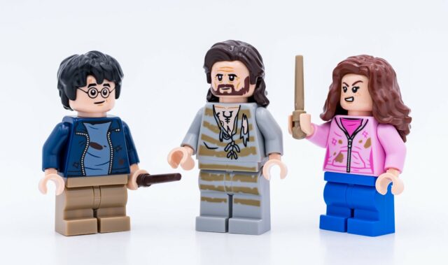 LEGO Harry Potter 76401 Hogwarts Courtyard: Sirius's Rescue