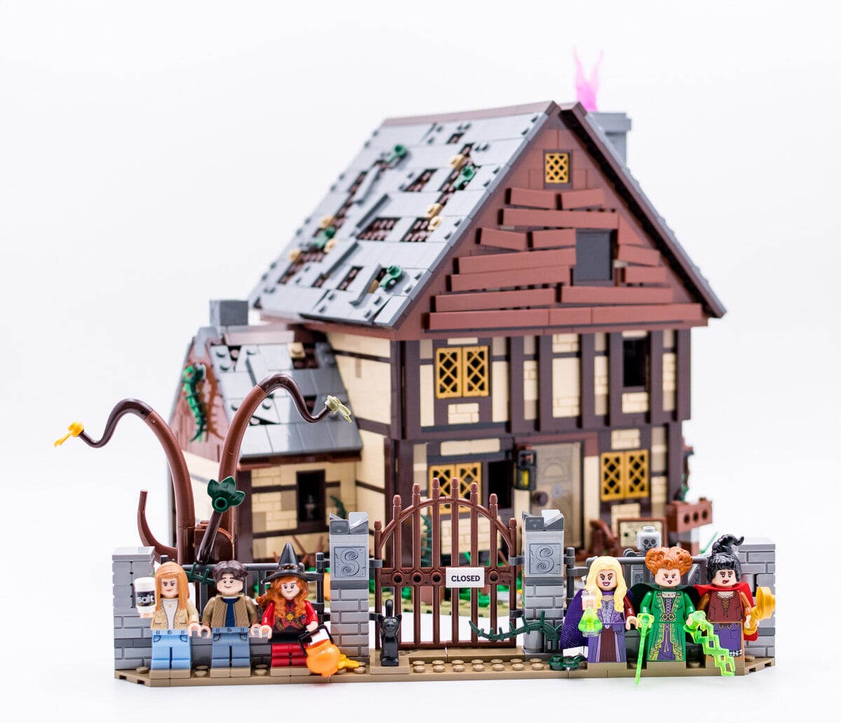 Review LEGO Ideas 21341 Disney Hocus Pocus - The Sanderson Sisters ...