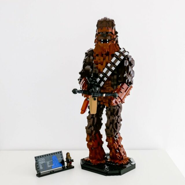 Review LEGO Star Wars 75371 Chewbacca