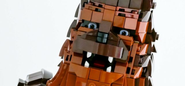 Review LEGO Star Wars 75371 Chewbacca