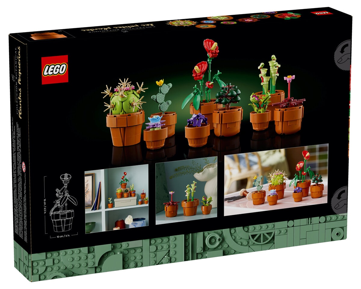 Cactus en fleur - HelloBricks